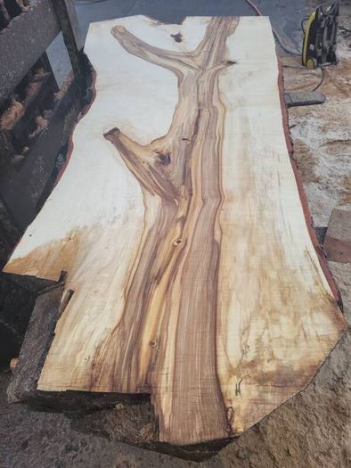 Hardwood timber