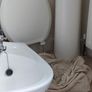 Basin and Pedestal Image 6