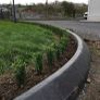 Box Hedging Image 8