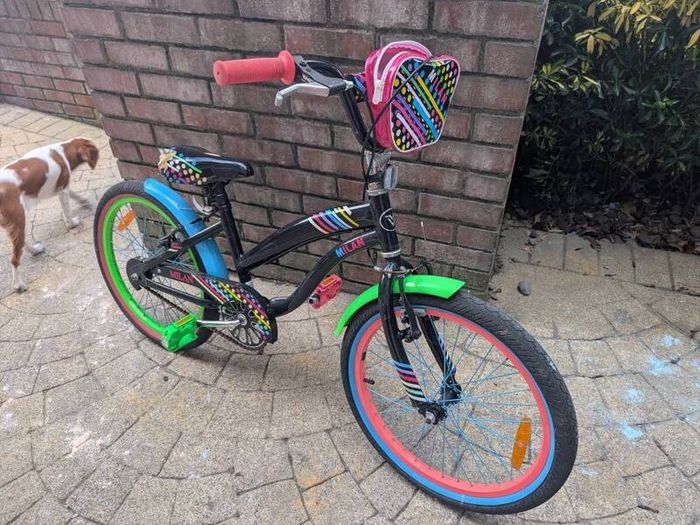 girls bicycle