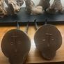 Antique Pair of Alpine Chamois Taxidermy Mounts Image 5