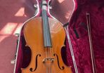 Cello. Full size.