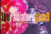 Radiators From Space - Plan 9 The Summer Season EP CD (2005) RARE Out Of Print Punk Rock EX+