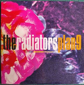 Radiators From Space - Plan 9 The Summer Season EP CD (2005) RARE Out Of Print Punk Rock EX+