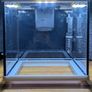 Aquarium Image 4