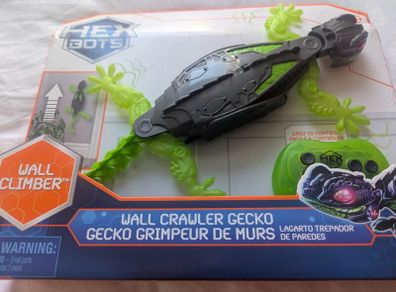 Wallcrawler Gecko
