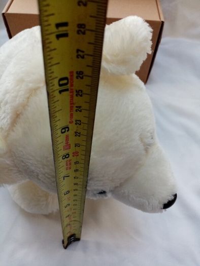 White Bear in a box