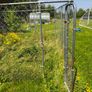 Dog Pen Cage 6 x 3 x 2 meter Image 3