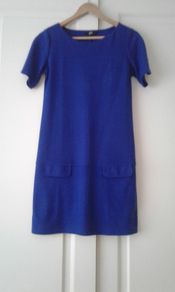 Blue Dress/Top