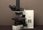Olympus BX50F4 Trinocular Microscope