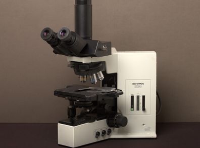 Olympus BX50F4 Trinocular Microscope