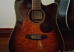 Takamine