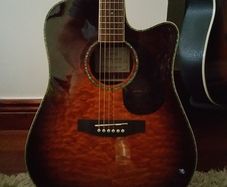 Takamine