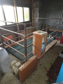 Greyhound/dog walking threadmill