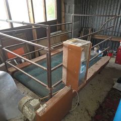Greyhound/dog walking threadmill