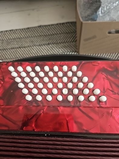 piano accordian...to include case