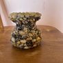 Seashell Vase Image 3