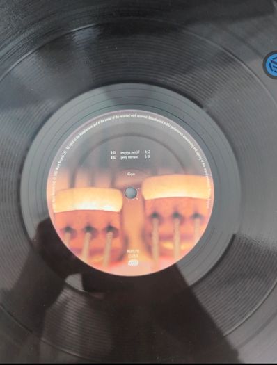 Aphex Twin - Drukqs (2x12" + 2xLP + Box, Album)