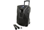 Portable Bluetooth PA Unit with Wireless Mics