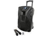 Portable Bluetooth PA Unit with Wireless Mics