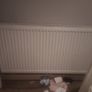radiator Image 2
