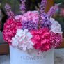Hydrangea Image 7