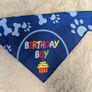 Blue bandana and gotcha day bandanas Image 2