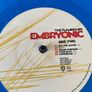The Flaming Lips - Embryonic Image 7