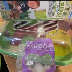 hamster cage