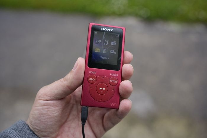 Sony Walkman NW-E394 8GB