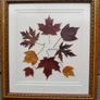 Framed Leaves Image 2