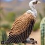 Schleich Vulture Animal Figure Image 6
