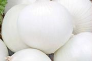 (O) White Onion Avalon seeds 3g (442274)