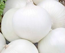 (O) White Onion Avalon seeds 3g (442274)