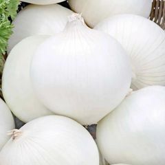 (O) White Onion Avalon seeds 3g (442274)