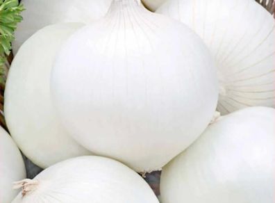 (O) White Onion Avalon seeds 3g (442274)