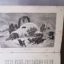 1881, Half - Hours In The Far North Image 4