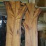 timber slabs Image 7