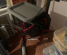 mobility walker