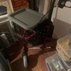 mobility walker