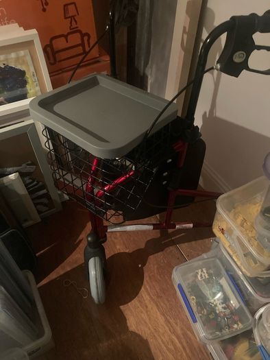 mobility walker