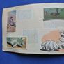 Australia - The Commonwealth Series - 1958-  - Australia In Forty-eight Full Natural Cards (lyons Tea) Image 6