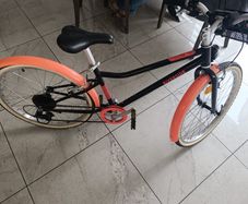 Girls Bicycle Pink