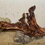 Aquarium Wood Image 5