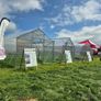 Polycarbonate Greenhouses Image 3