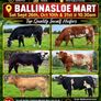 In Calf Heifers Sept 26th Ballinasloe Mart Image 2