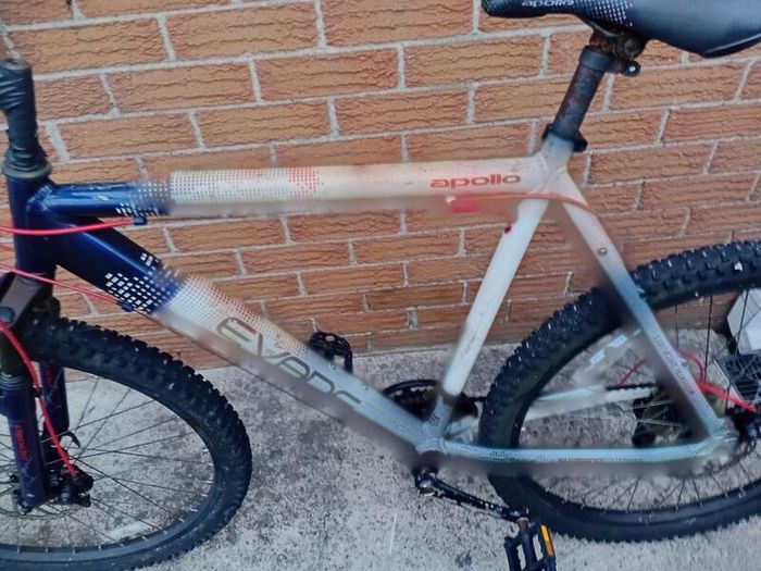 adults mountain bike