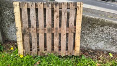 1 Free wooden pallet