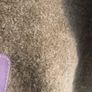 mocha  jumper Image 5