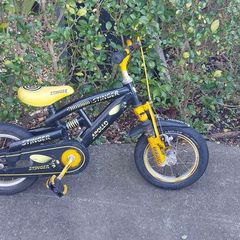 bike